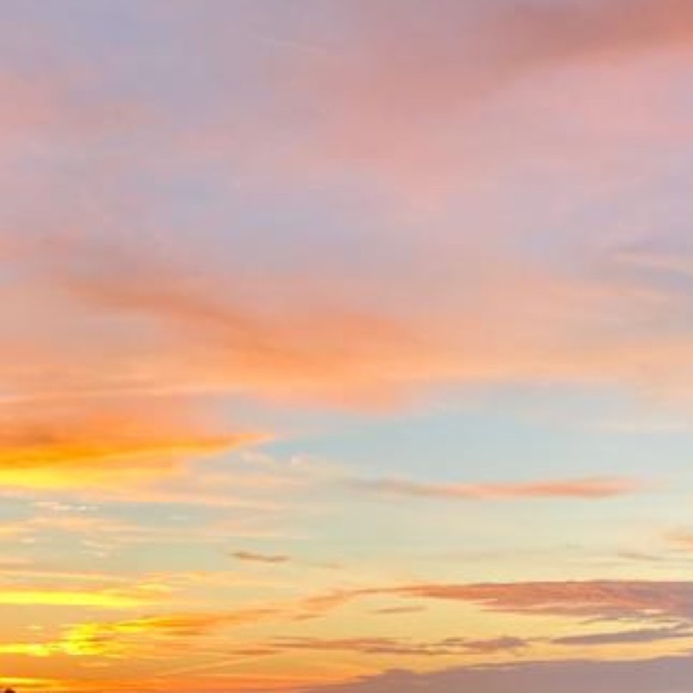 Meet your Posher, Salima